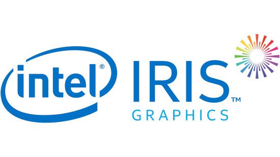 Intel HD/UHD/Iris/Pro Graphics Driver v.30.0.100.9864 Windows 10 / 11 64 bits
