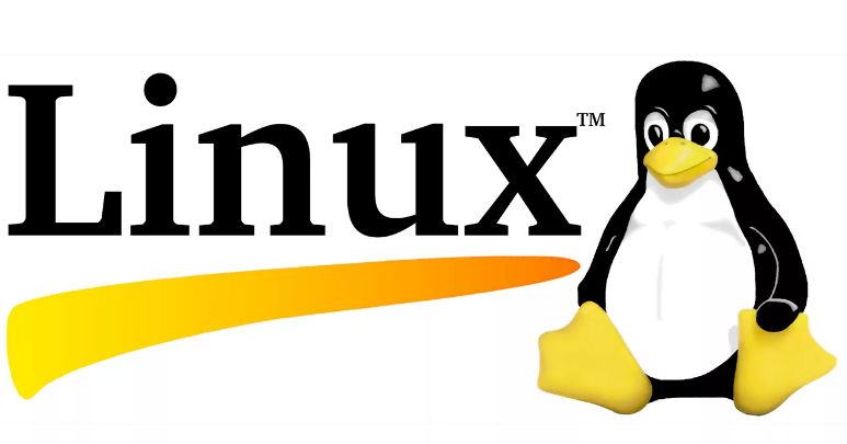 Linux Gadget Serial v2.4 Driver v.1.0.0.0 Windows XP / Vista 32-64 bits